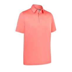 Swingtech Solid Polo