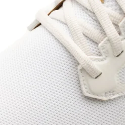 The Daily Pro Hybrid